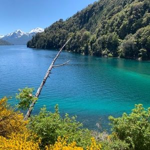 Meet your Posher, Moni